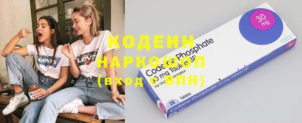 индика Нягань