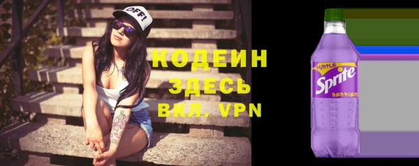 крисы Няндома