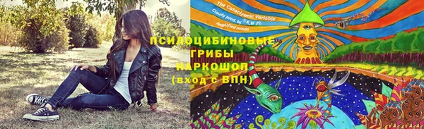индика Нягань