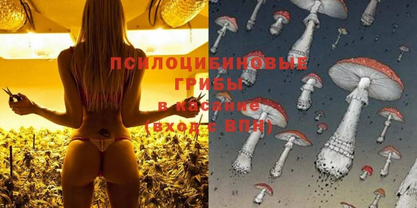экстази Нязепетровск
