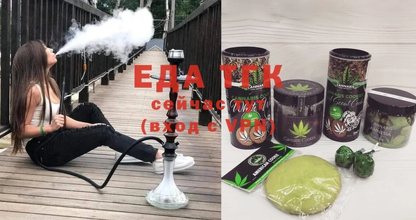 индика Нягань