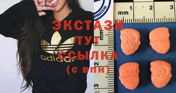 крисы Няндома