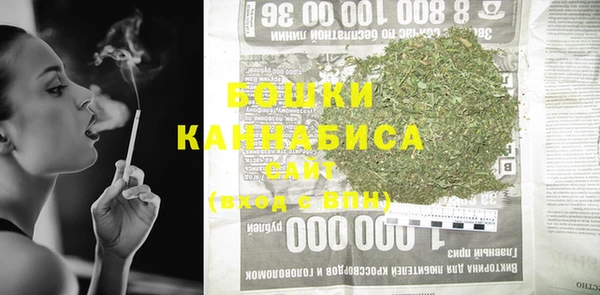 крисы Няндома