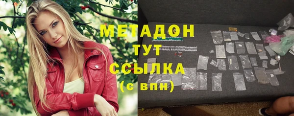 индика Нягань