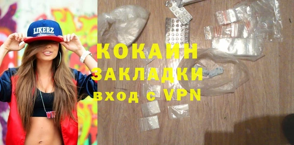 крисы Няндома