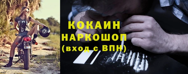 крисы Няндома