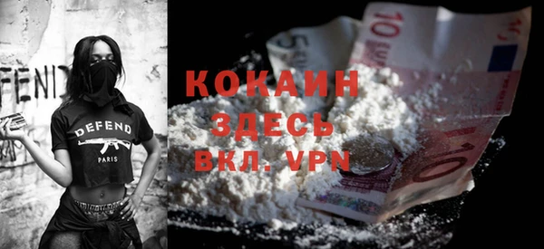 индика Нягань