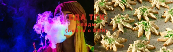 индика Нягань