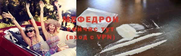 индика Нягань