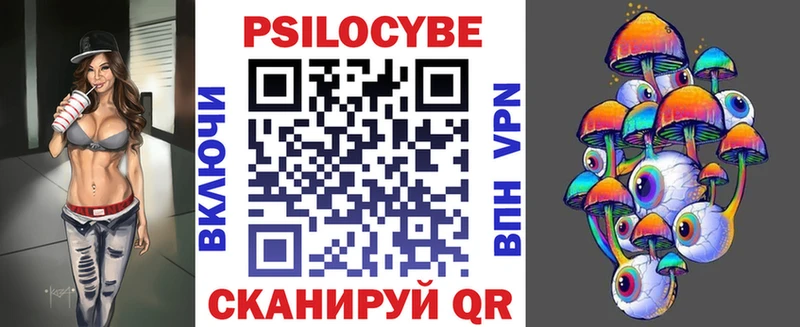 закладки  Курлово  Псилоцибиновые грибы Cubensis 